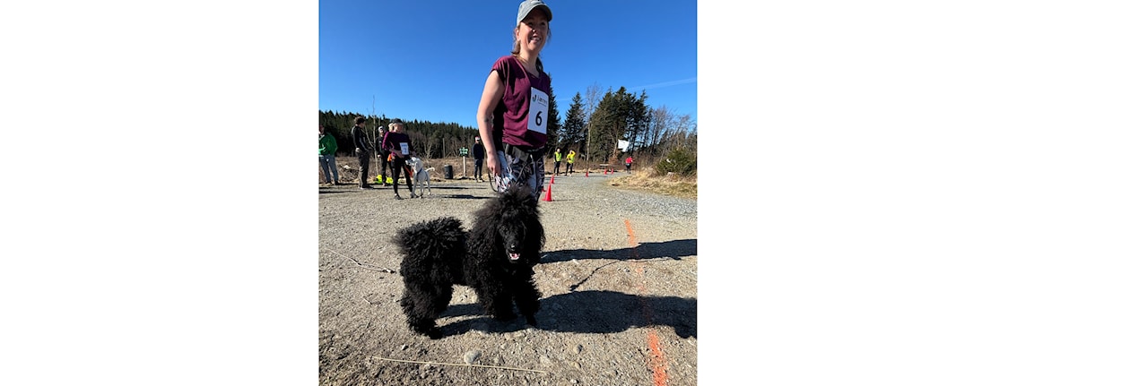 Ny hundekjører: Minikurs i trekktrening på Hundekjørerseminaret